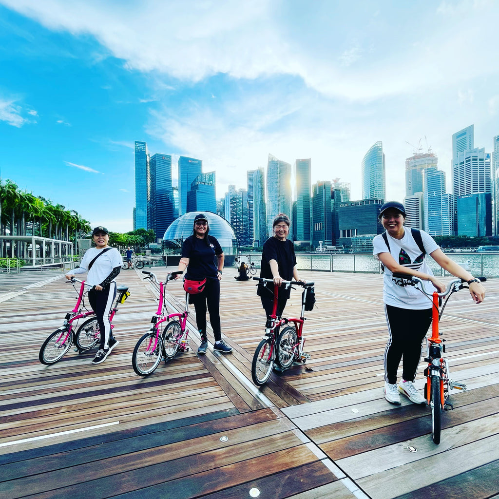 R0: Brompton City Ride