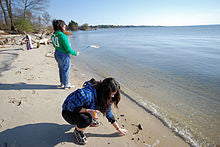 Beach Combing - High Achievers 2.0