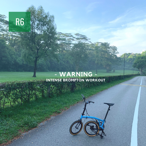 R6: Bukit Timah Boost