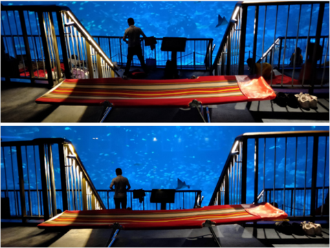 Beach Bed *RENTAL* - Outdoor - Camping - High Achievers 2.0