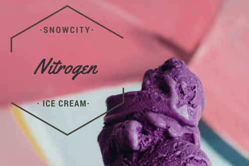 The Arctic Odyssey - High Achievers 2.0