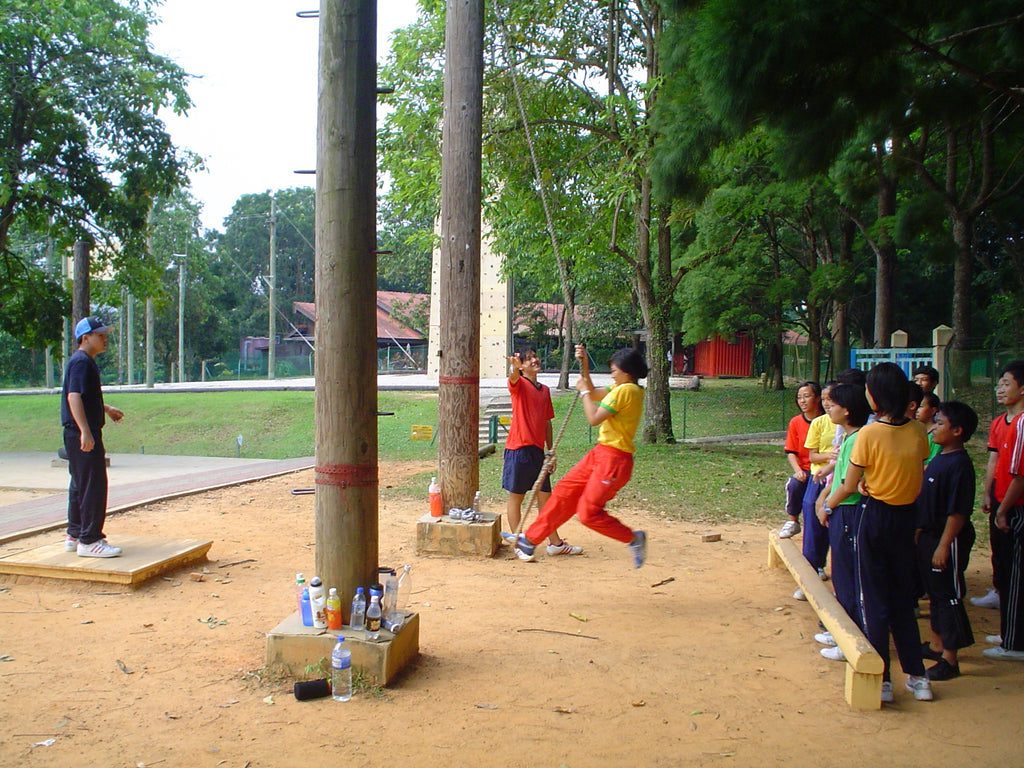 Low Elements - High Achievers 2.0