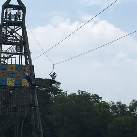 High Elements : Flying Fox - High Achievers 2.0