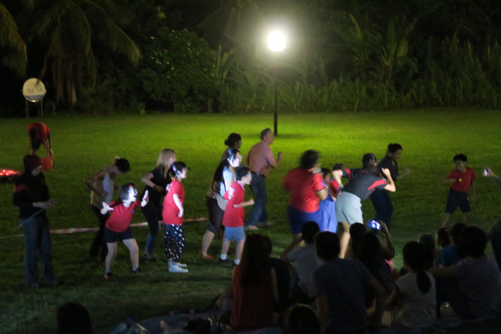 2D1N Dec Holidays Camp - The Arctic Odyssey (2017) - High Achievers 2.0