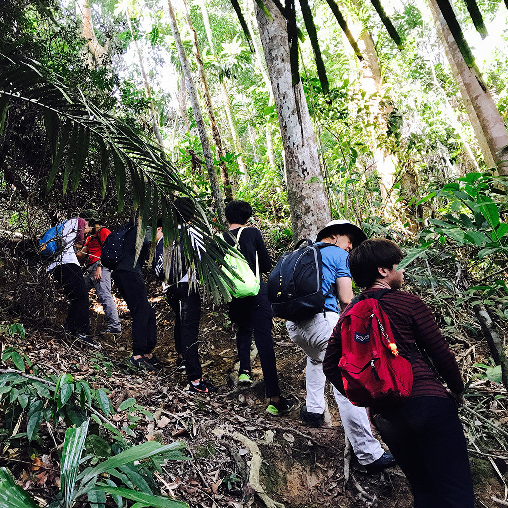 Trekking  : Jungle / Tropical Forrest - High Achievers 2.0