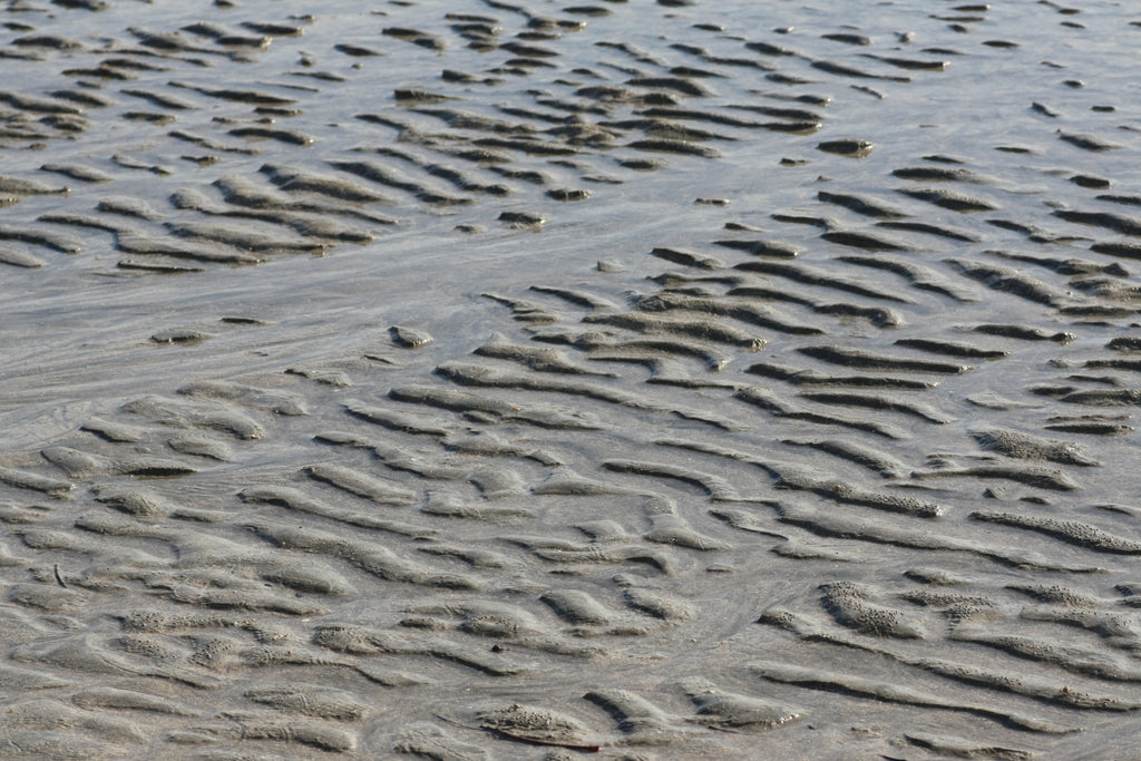 Beach Combing - High Achievers 2.0