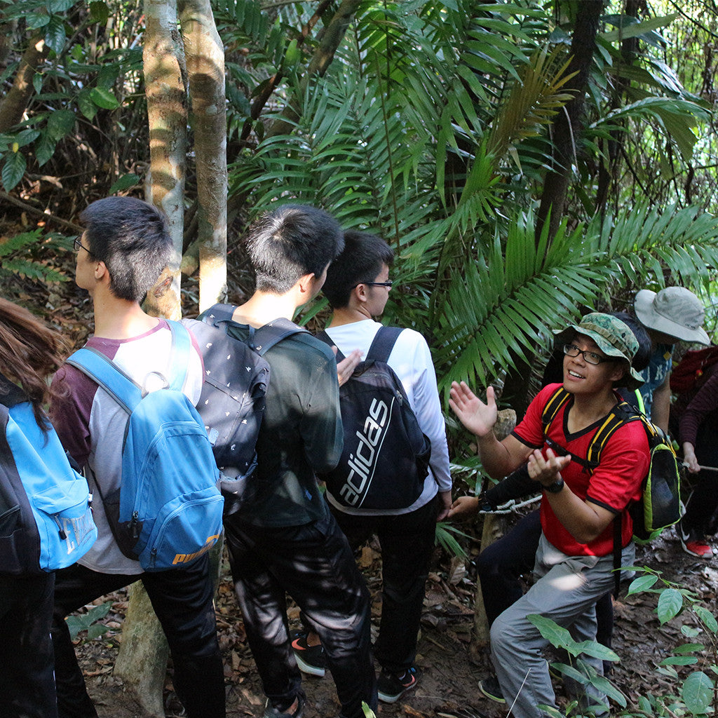 Trekking  : Jungle / Tropical Forrest - High Achievers 2.0