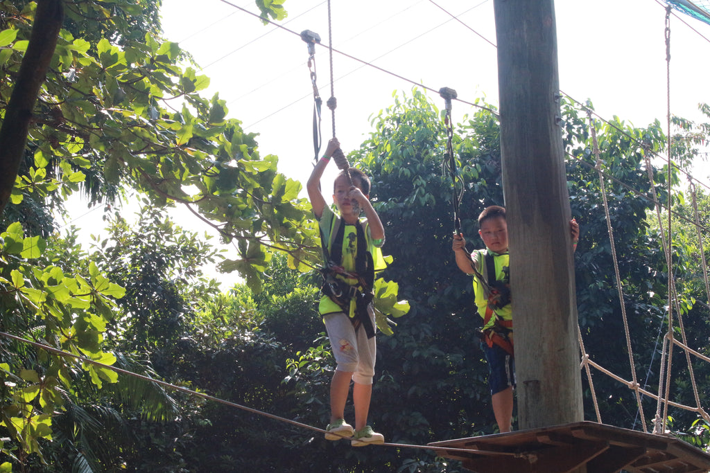 High Elements : Challenge Rope Course - High Achievers 2.0