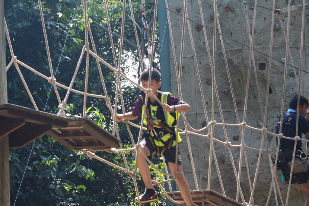 High Elements : Challenge Rope Course - High Achievers 2.0