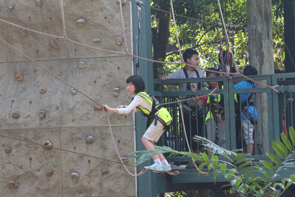 High Elements : Challenge Rope Course - High Achievers 2.0
