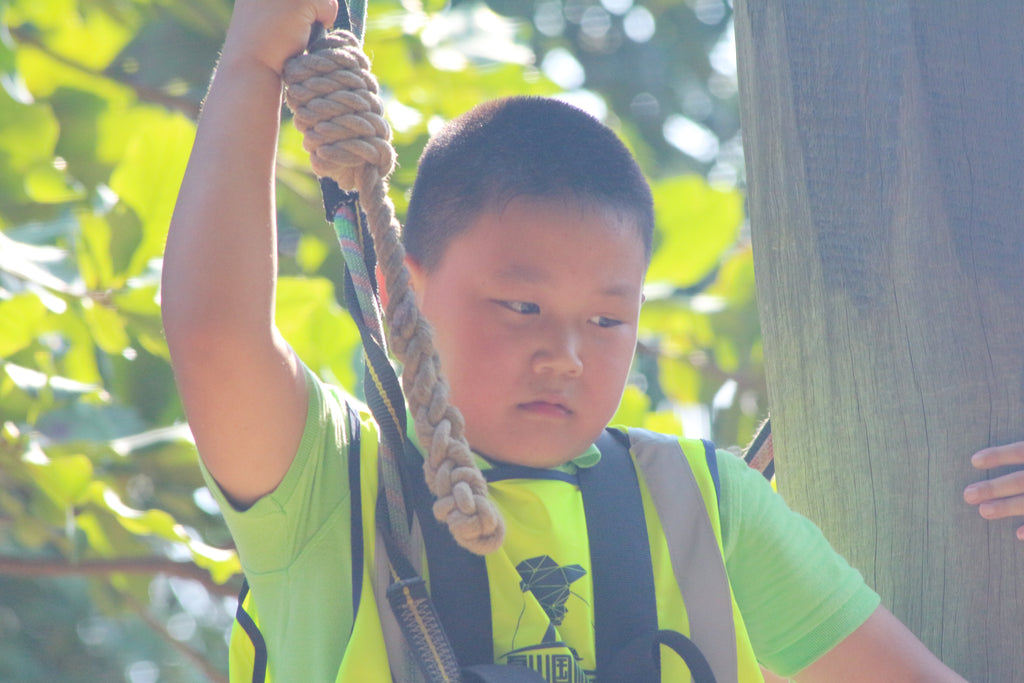 High Elements : Challenge Rope Course - High Achievers 2.0