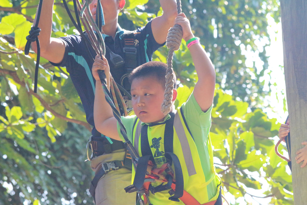 High Elements : Challenge Rope Course - High Achievers 2.0