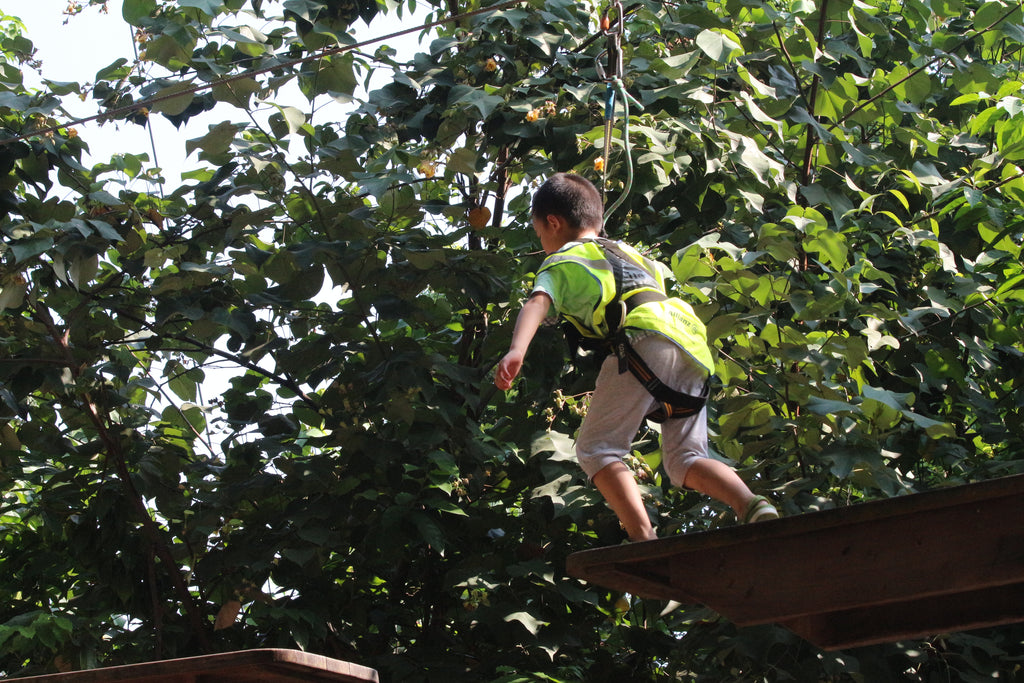 High Elements : Challenge Rope Course - High Achievers 2.0