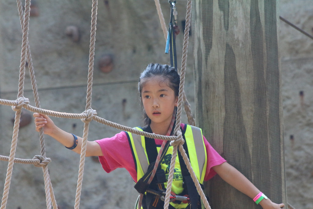 High Elements : Challenge Rope Course - High Achievers 2.0