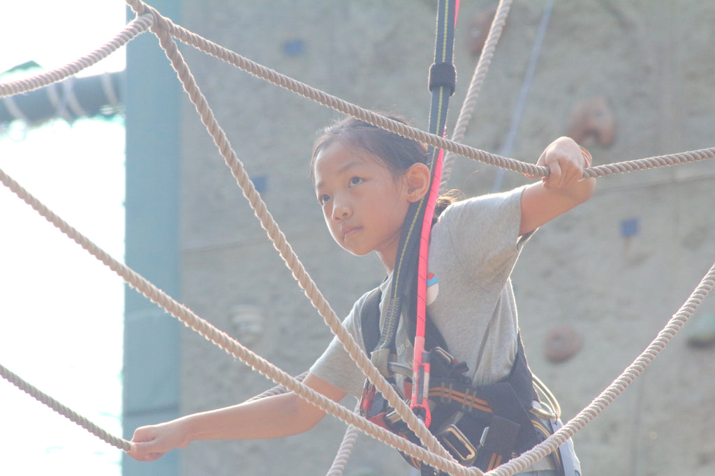 High Elements : Challenge Rope Course - High Achievers 2.0