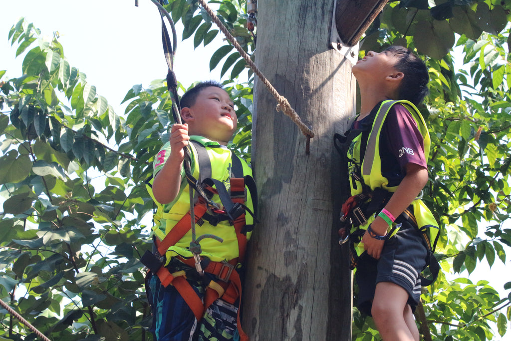 High Elements : Challenge Rope Course - High Achievers 2.0