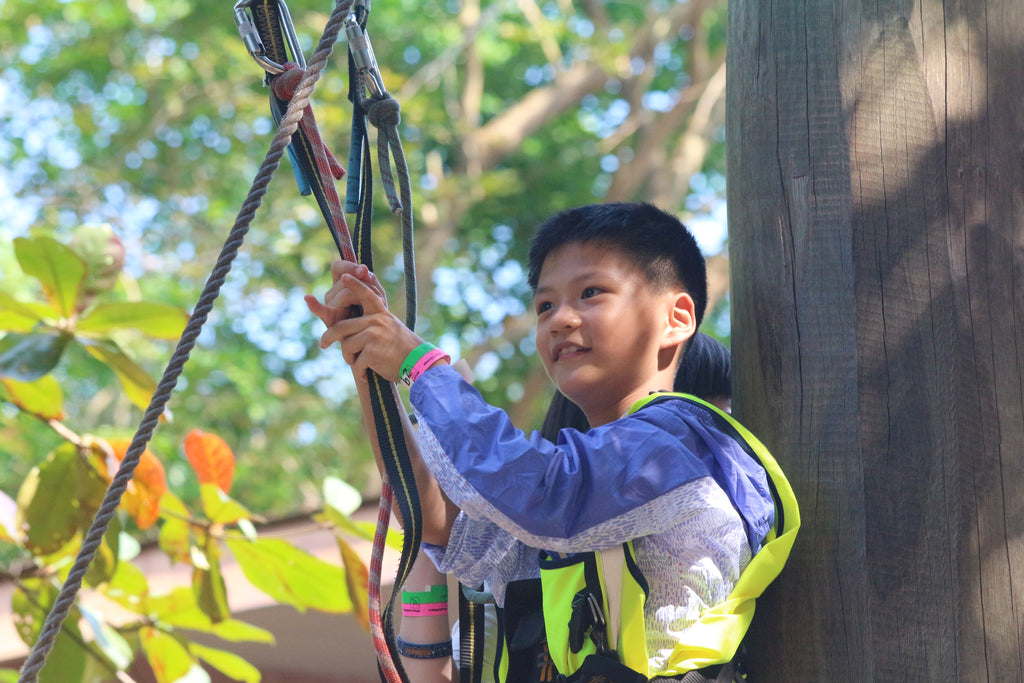 High Elements : Challenge Rope Course - High Achievers 2.0