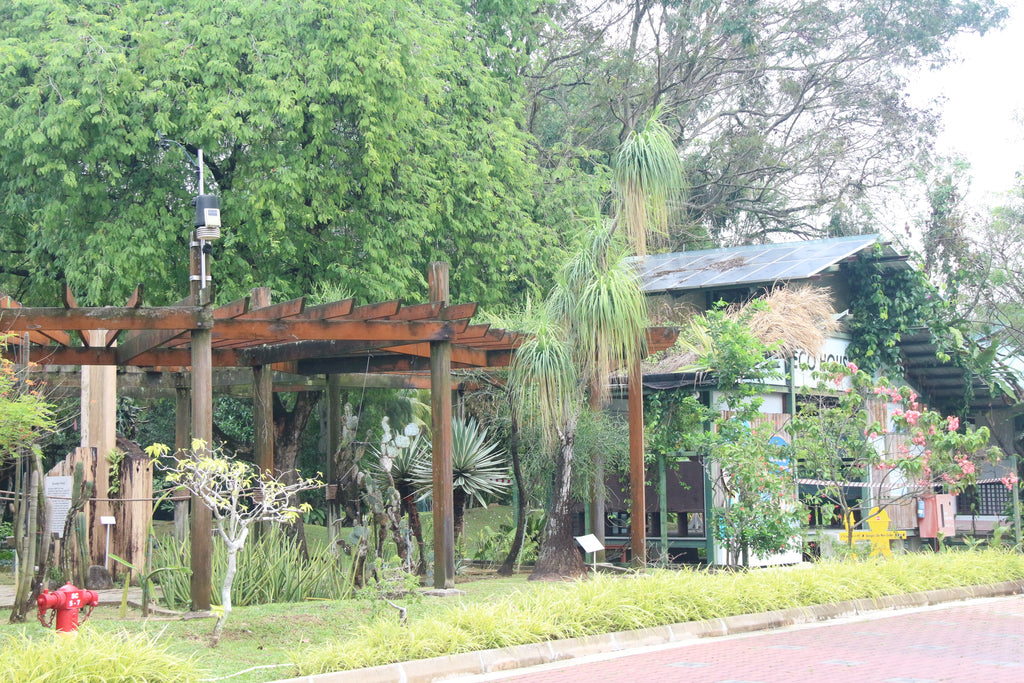 Fun and educational centre for children in Singapore