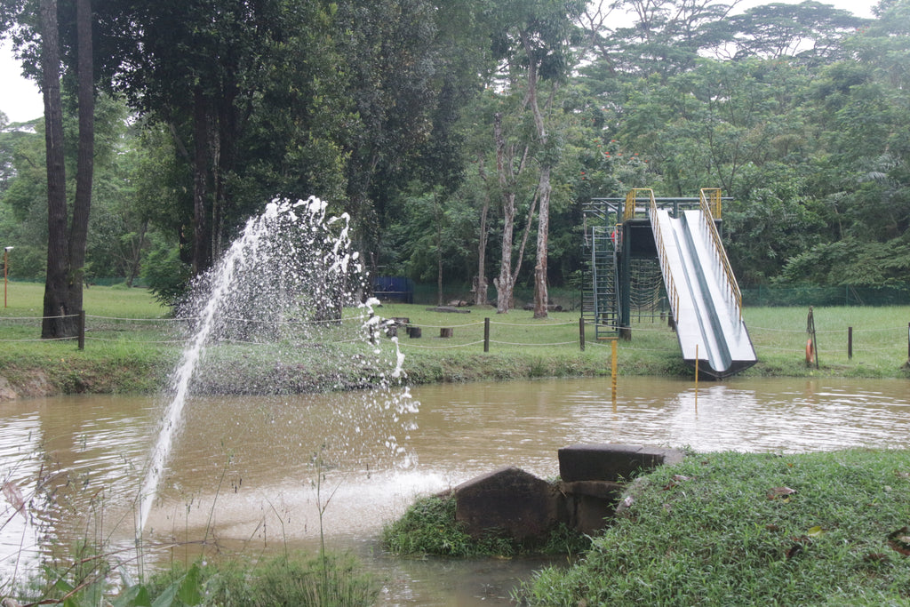 Milo Pond - High Achievers 2.0