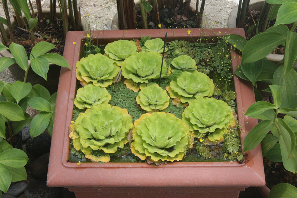 Singapore Science Center - High Achievers 2.0