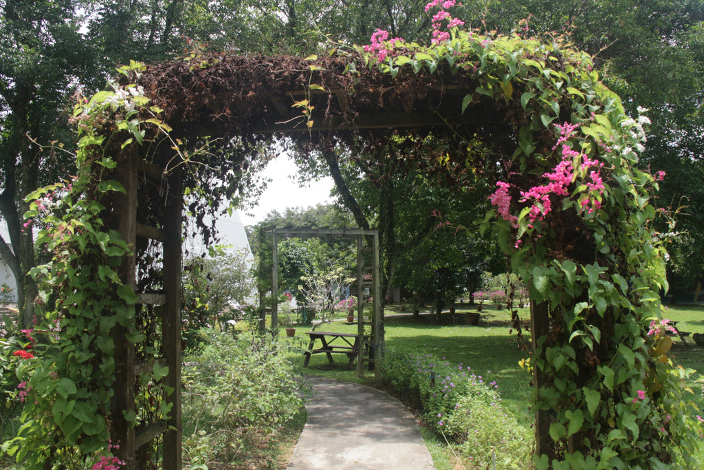 Singapore Science Center - High Achievers 2.0