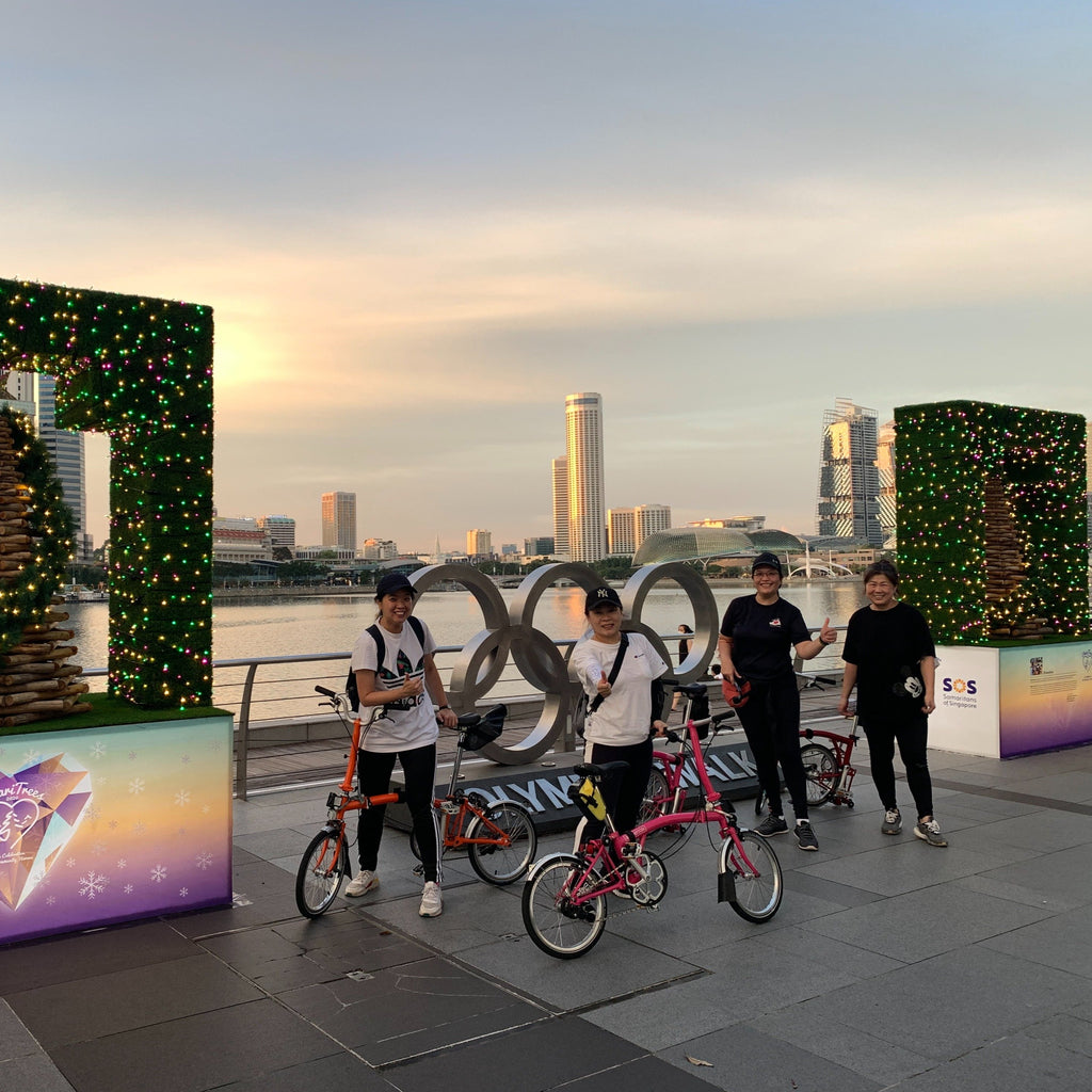 R0: Brompton City Ride