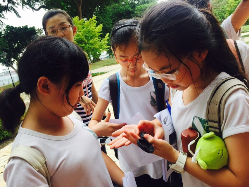 Orienteering - High Achievers 2.0