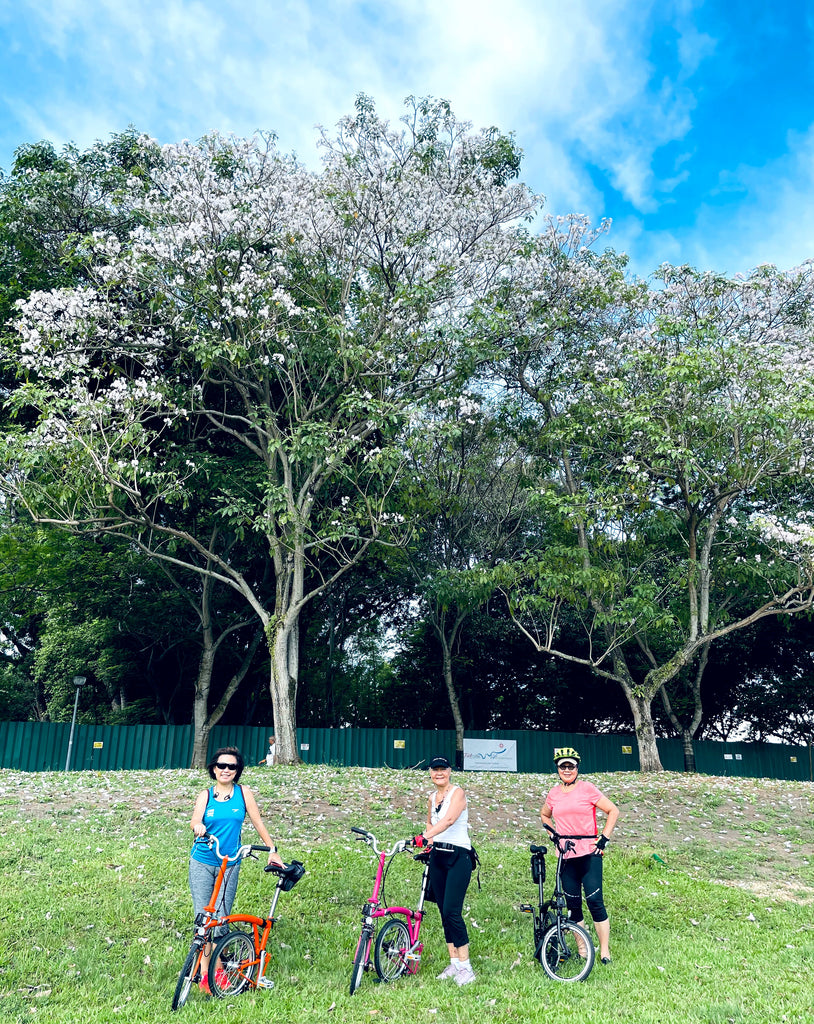 R9: Brompton Bedok Reservoir