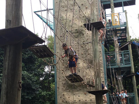 High Elements : Challenge Rope Course - High Achievers 2.0