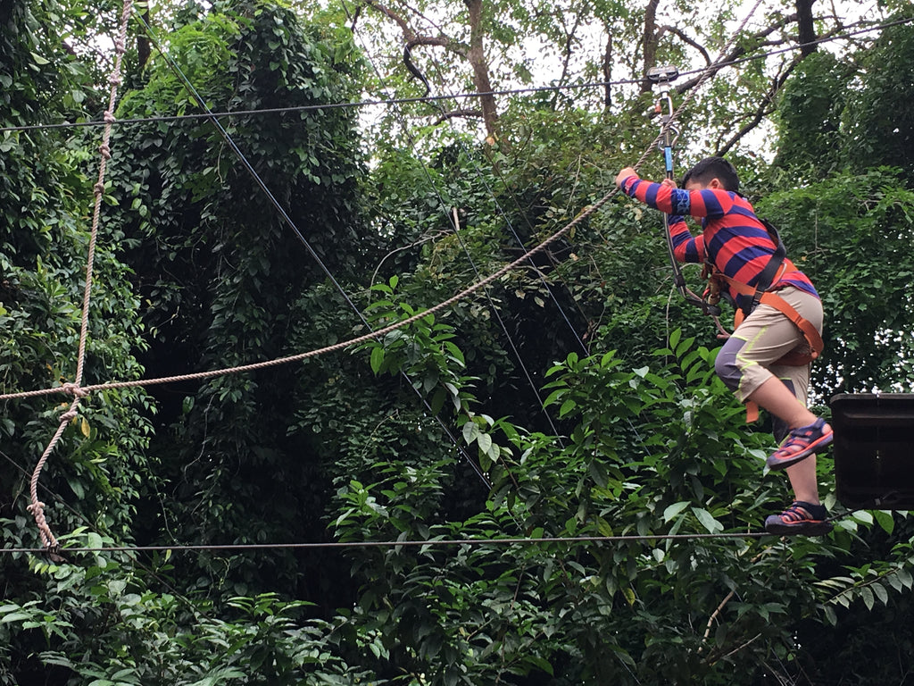 High Elements : Challenge Rope Course - High Achievers 2.0