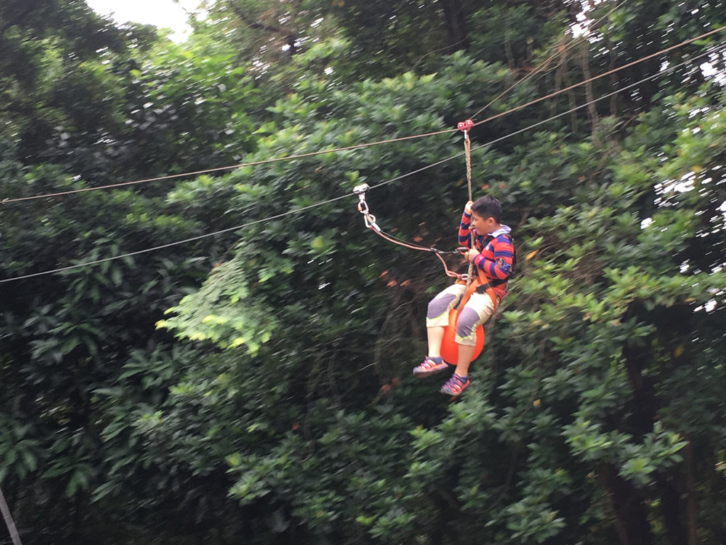 High Elements : Challenge Rope Course - High Achievers 2.0