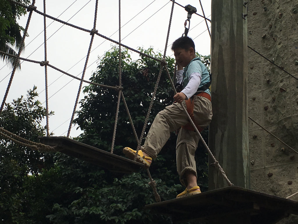 High Elements : Challenge Rope Course - High Achievers 2.0