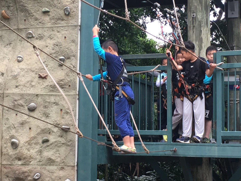 High Elements : Challenge Rope Course - High Achievers 2.0
