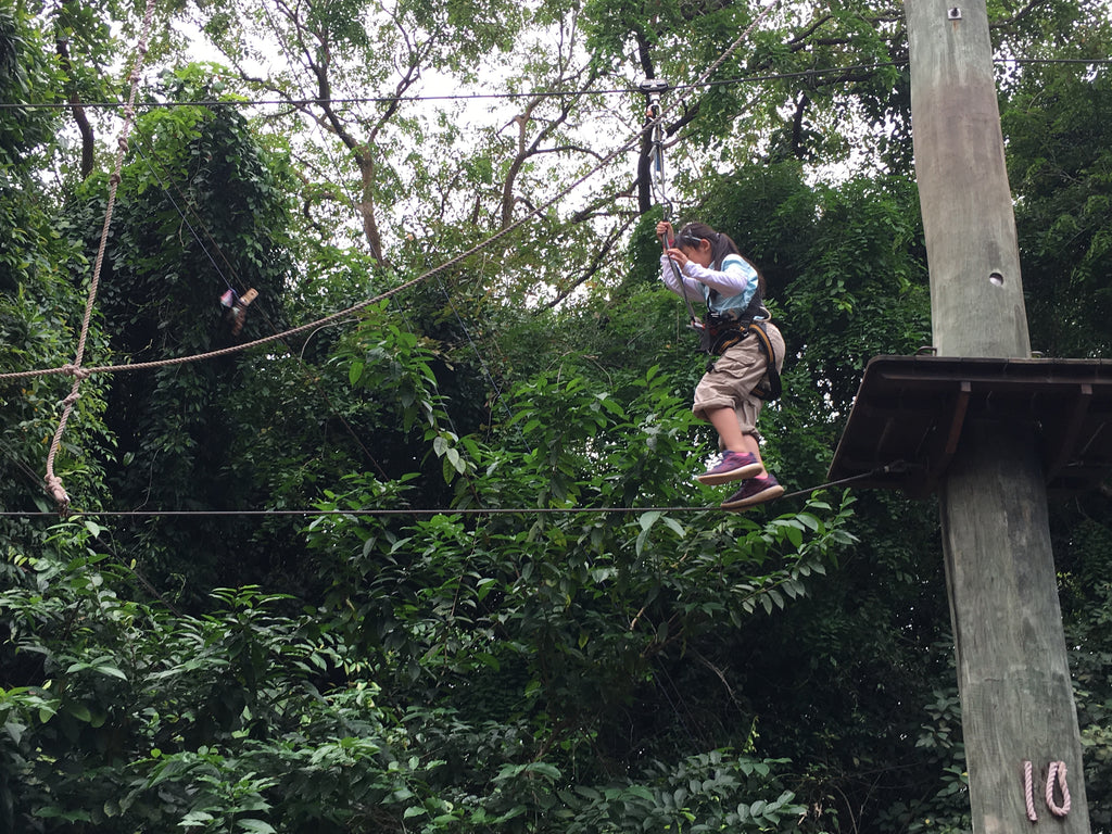 High Elements : Challenge Rope Course - High Achievers 2.0