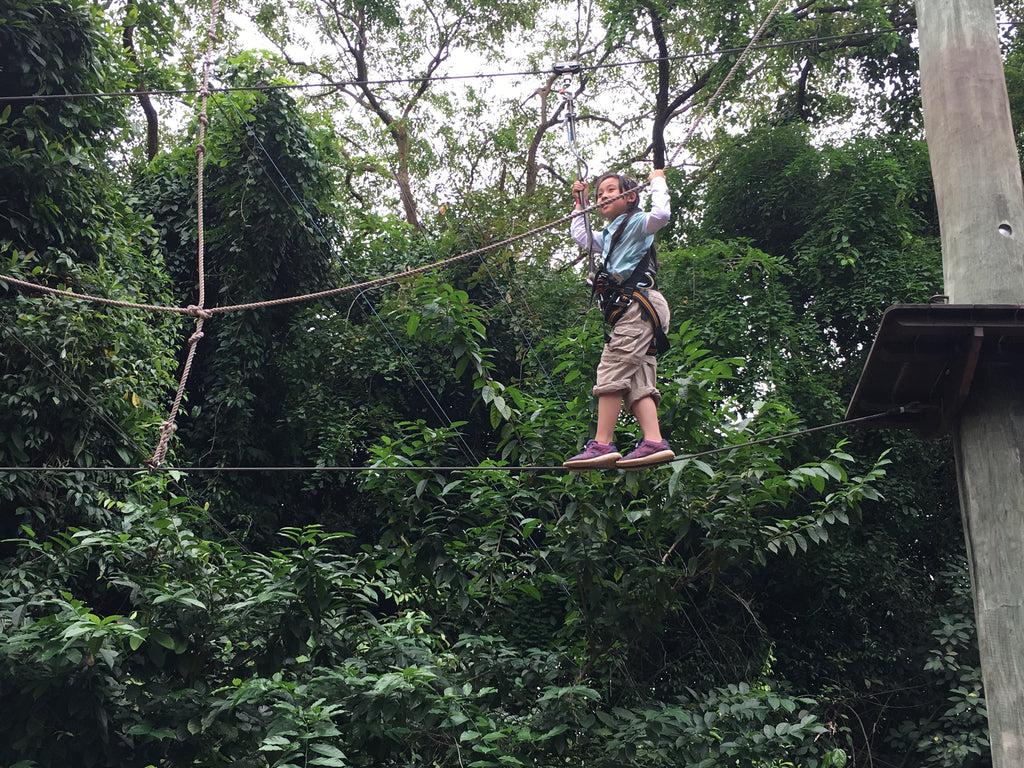 High Elements : Challenge Rope Course - High Achievers 2.0