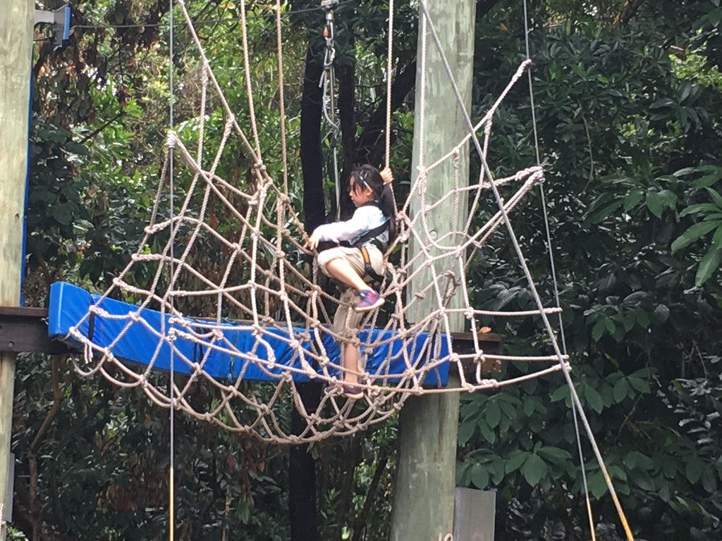 High Elements : Challenge Rope Course - High Achievers 2.0