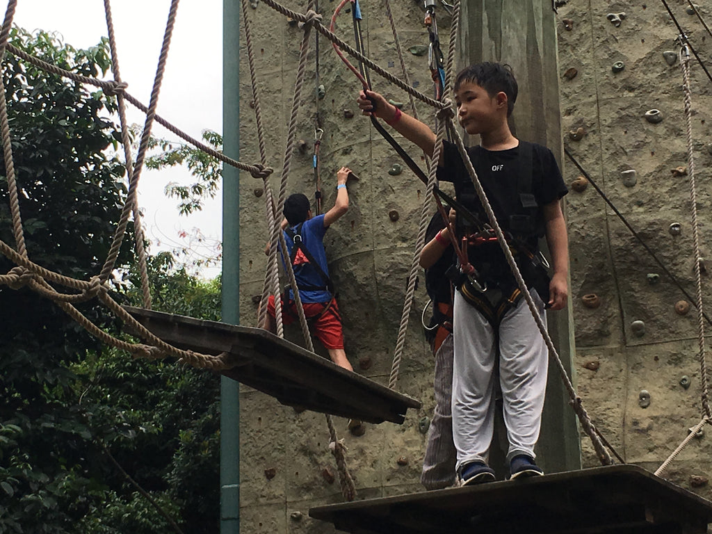 High Elements : Challenge Rope Course - High Achievers 2.0