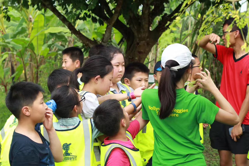 ECO Experience - High Achievers 2.0