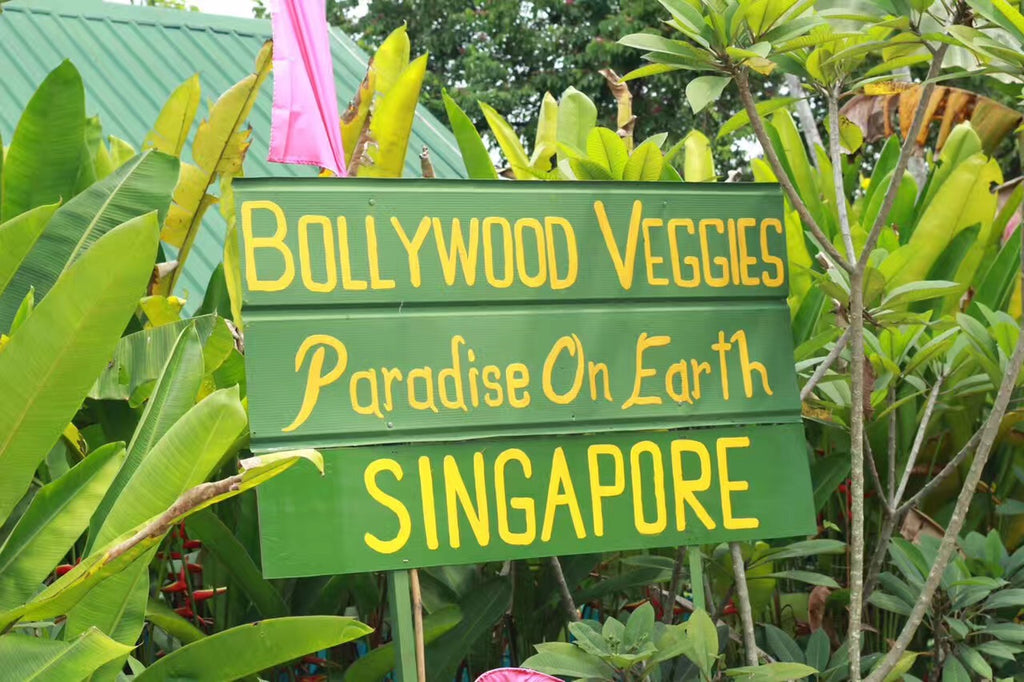 ECO Experience - High Achievers 2.0