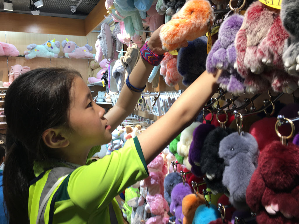 Heritage Race - High Achievers 2.0