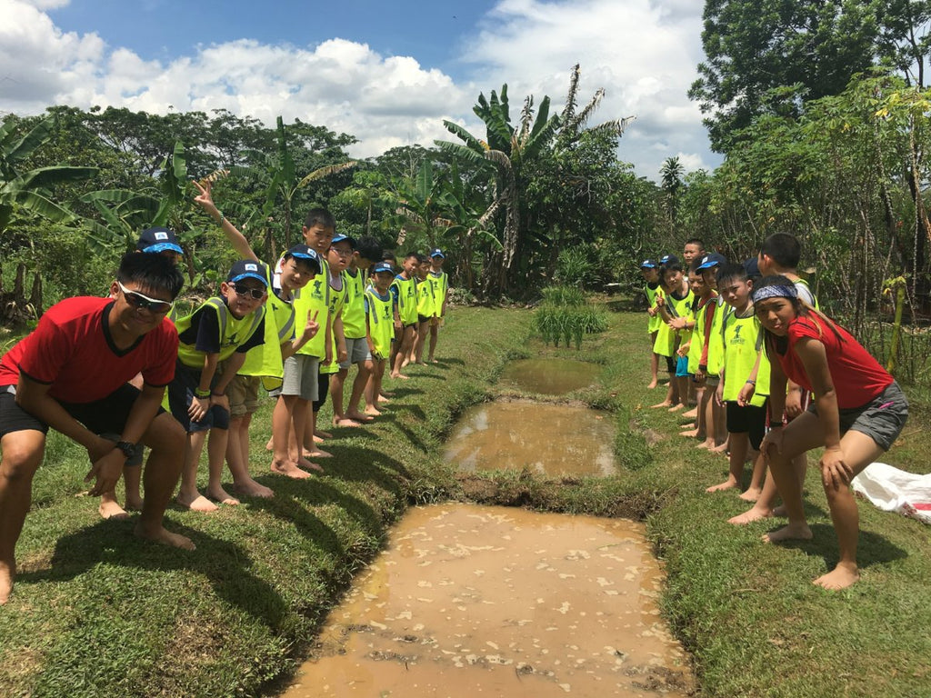 ECO Experience - Service learning - CIP - High Achievers 2.0