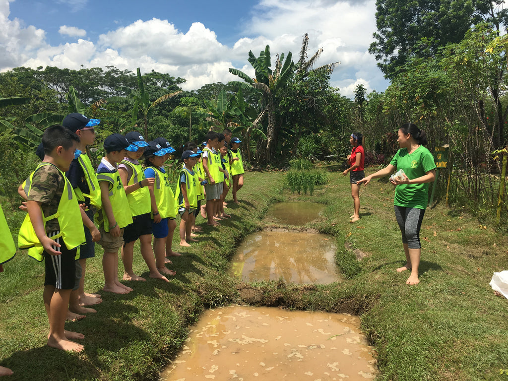 ECO Experience - Service learning - CIP - High Achievers 2.0