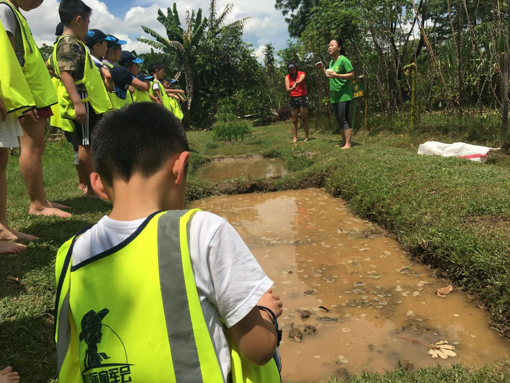 ECO Experience - Service learning - CIP - High Achievers 2.0