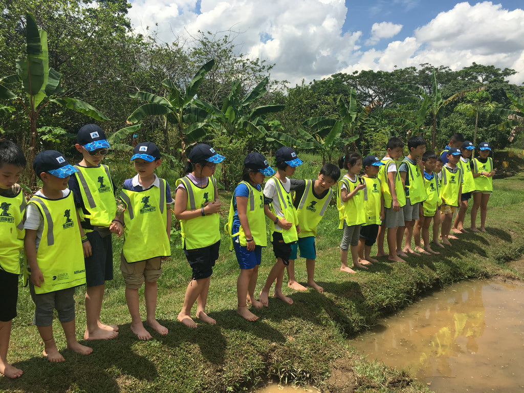 ECO Experience - Service learning - CIP - High Achievers 2.0