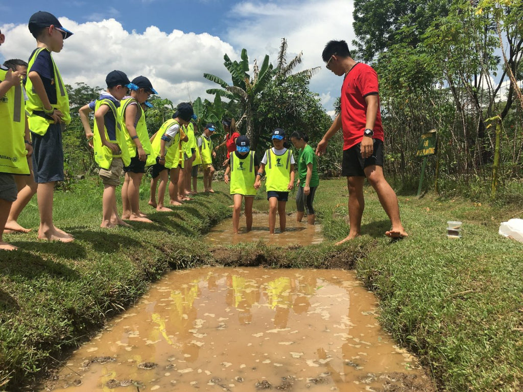 ECO Experience - High Achievers 2.0