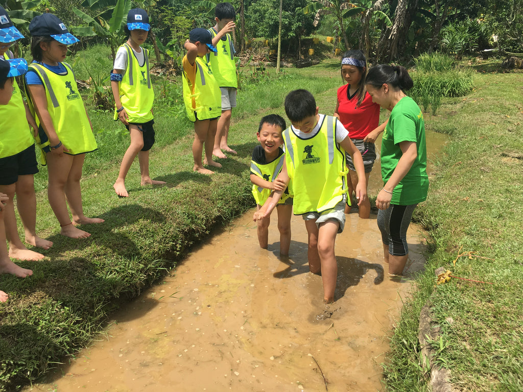 ECO Experience - High Achievers 2.0