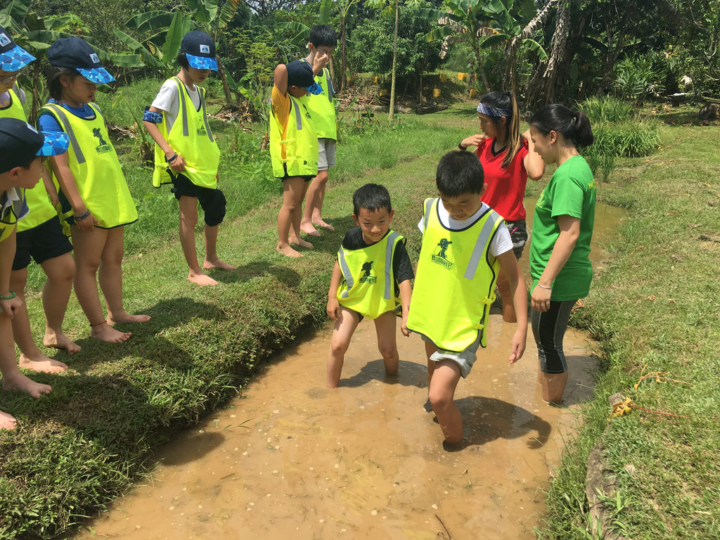 ECO Experience - High Achievers 2.0