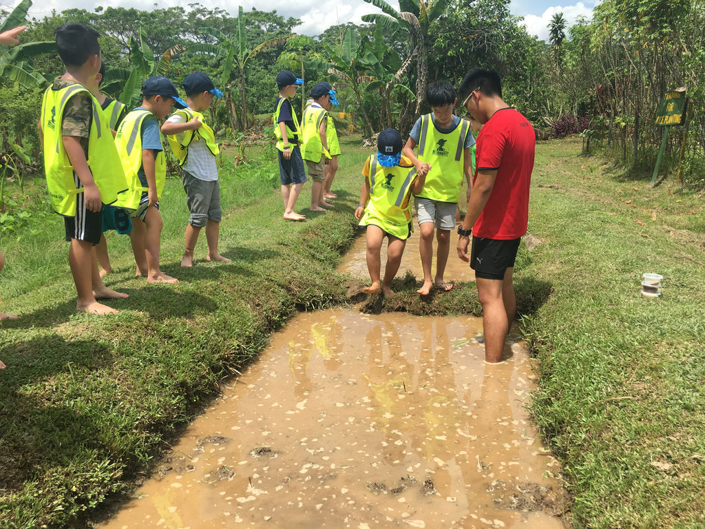 ECO Experience - High Achievers 2.0