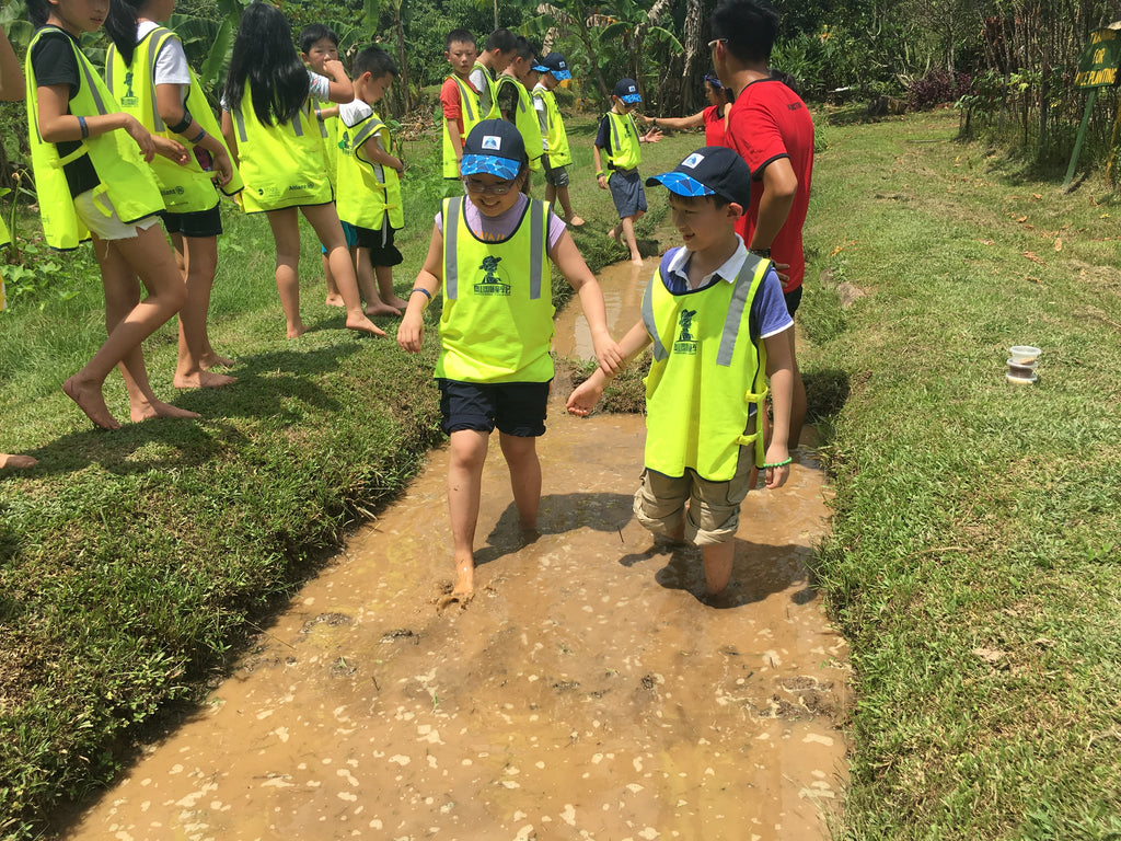 ECO Experience - High Achievers 2.0