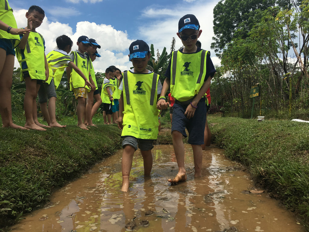 ECO Experience - High Achievers 2.0